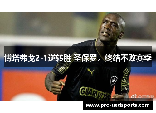博塔弗戈2-1逆转胜 圣保罗，终结不败赛季