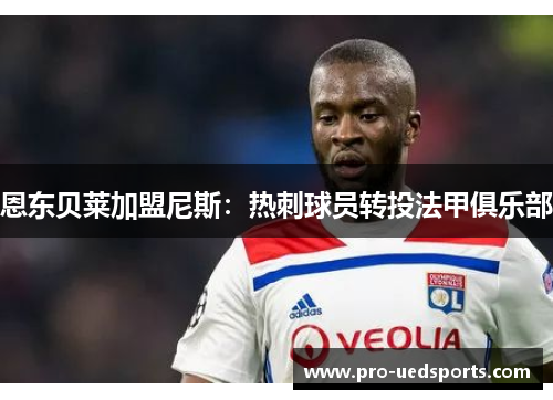 恩东贝莱加盟尼斯：热刺球员转投法甲俱乐部